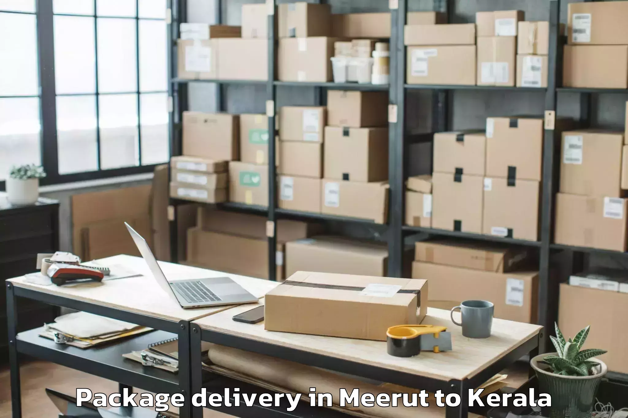 Comprehensive Meerut to Shoranur Package Delivery